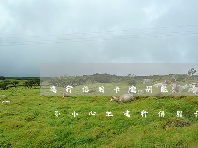建行信用卡逾期能調(diào)額度嗎(一不小心把建行信用卡額度調(diào)低了)
