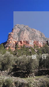 建行信用卡逾期能還最低嗎(建設(shè)銀行信用卡5000逾期一年多了會怎么樣)