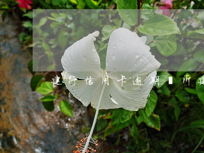 建行 信用卡 逾期（臨沂建行信用卡逾期人員）