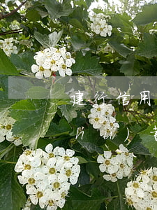 建行信用卡逾期自動(dòng)從儲(chǔ)蓄卡劃款-建行強(qiáng)制劃扣還信用卡