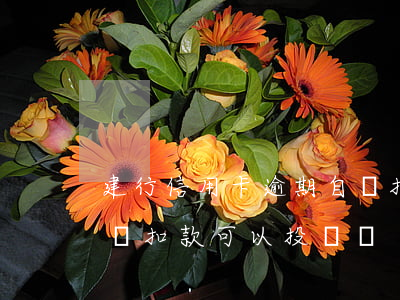 建行信用卡逾期自動扣款(建行信用卡逾期自動扣款可以投訴嗎)