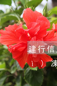 建行信用卡逾期蓄儲(chǔ)卡會(huì)凍結(jié)嗎(建行信用卡被凍結(jié)了怎么辦)