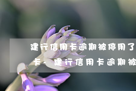 建行信用卡逾期被停用了怎么開(kāi)卡-建行信用卡逾期被停用了怎么開(kāi)卡呢