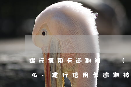 建行信用卡逾期被凍結(jié)可以解凍么-建行信用卡逾期被凍結(jié)可以解凍么嗎
