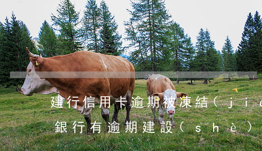 建行信用卡逾期被凍結(jié)短信(其他銀行有逾期建設(shè)信用卡被凍結(jié))