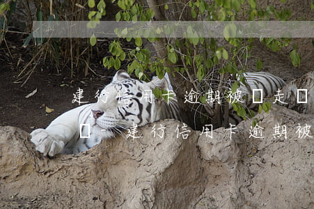 建行信用卡逾期被劃走儲(chǔ)蓄卡的錢-建行信用卡逾期被劃走儲(chǔ)蓄卡的錢怎么辦