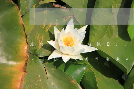 建行信用卡逾期被復(fù)利(建設(shè)銀行信用卡逾期4個(gè)月了,說已經(jīng)報(bào)案了)