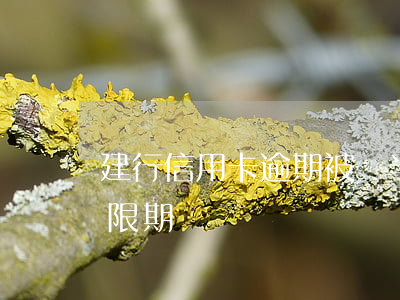 建行信用卡逾期被減半-建行 信用卡 逾期寬限期
