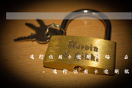 建行信用卡逾期被起訴后還會(huì)怎樣-建行信用卡逾期被起訴后還會(huì)怎樣呢