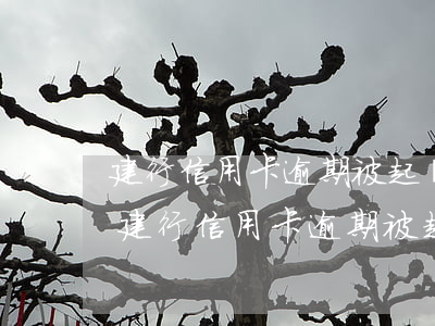 建行信用卡逾期被起訴怎么協(xié)商(建行信用卡逾期被起訴怎么協(xié)商還款流程)