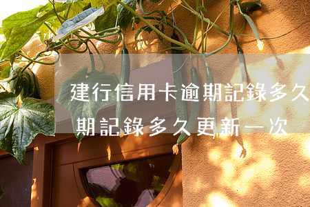 建行信用卡逾期記錄多久更新(建行信用卡逾期記錄多久更新一次)