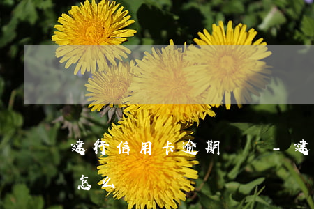 建行信用卡逾期訴訟-建行的信用卡逾期了怎么辦