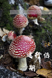 建行信用卡逾期說要起訴(建設銀行信用卡 逾期)
