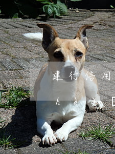 建行信用卡逾期說遞交給法院(沒有建設(shè)銀行的信用卡為什么發(fā)短信說逾期了)
