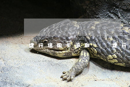 建行信用卡逾期論壇 建行卡逾期一次