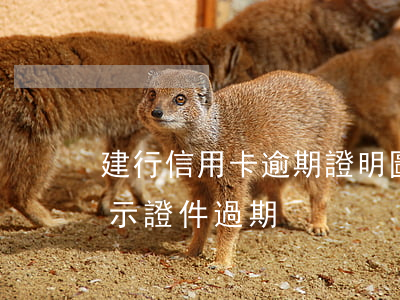 建行信用卡逾期證明圖片(申請建行信用卡提示證件過期)