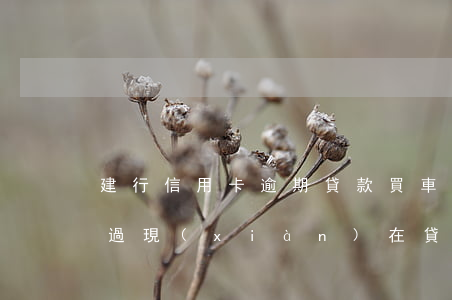 建行信用卡逾期貸款買車(我以前信用卡逾期過,現(xiàn)在貸款買車可以嗎)