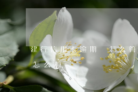 建行信用卡逾期費怎么算(建行信用卡逾期費怎么算)