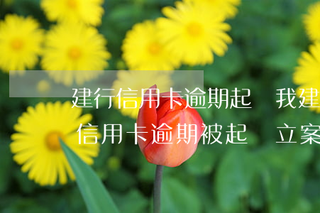 建行信用卡逾期起訴我(建設(shè)銀行信用卡逾期被起訴立案后怎么解決)