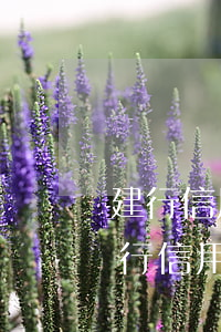 建行信用卡逾期起訴短信(建設(shè)銀行信用卡逾期被起訴立案后怎么解決)