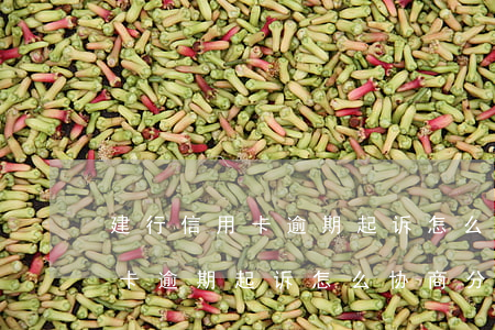 建行信用卡逾期起诉怎么协商分期(建行信用卡逾期起诉怎么协商分期还款)