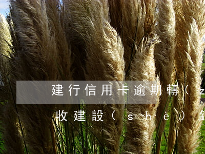建行信用卡逾期轉(zhuǎn)第三方催收(建設(shè)銀行卡逾期了兩年催收了還可以協(xié)商還款?)