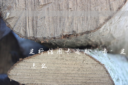 建行信用卡逾期辦卡-建行的信用卡逾期了怎么辦