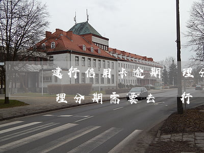 建行信用卡逾期辦理分期(建行信用卡逾期辦理分期需要去銀行辦理嗎)