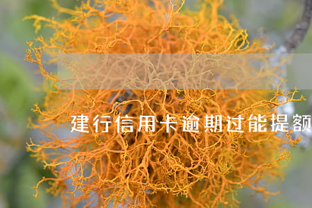 建行信用卡逾期过能提额么(建行信用卡 超额)