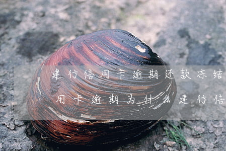 建行信用卡逾期还款冻结怎么办-其它行信用卡逾期为什么建行信用卡也被冻结