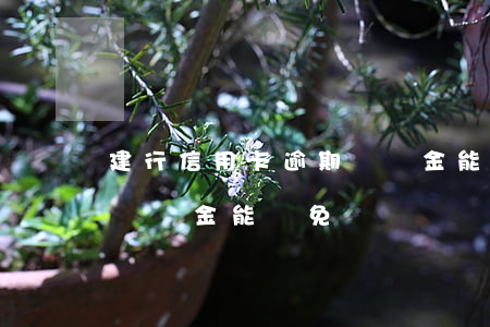 建行信用卡逾期違約金能減免嗎(欠信用卡的違約金能減免嗎)