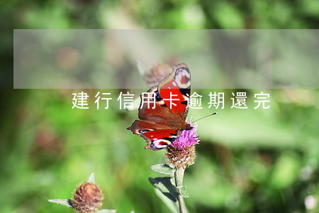 建行信用卡逾期還完