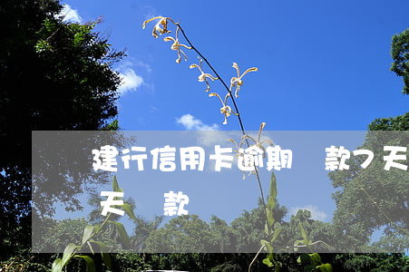 建行信用卡逾期還款7天(建行信用卡超時一天還款)
