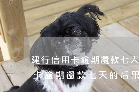 建行信用卡逾期還款七天的后果-建行信用卡逾期還款七天的后果是什么