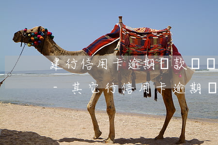 建行信用卡逾期還款凍結(jié)怎么辦-其它行信用卡逾期為什么建行信用卡也被凍結(jié)