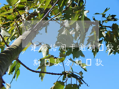 建行信用卡逾期還款分期還款(建行信用卡逾期還款分期還款)