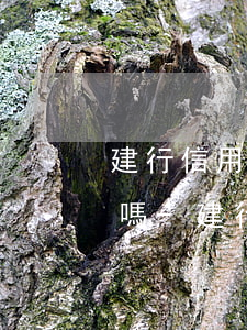 建行信用卡逾期還款會(huì)影響征信嗎-建行信用卡逾期還款會(huì)影響征信嗎知乎