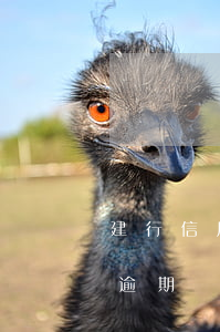 建行信用卡逾期還款期限是多久(建行信用卡逾期還款期限是多久)