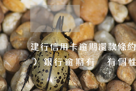 建行信用卡逾期還款條約(中國建設(shè)銀行逾期有沒有個性化還款協(xié)議)