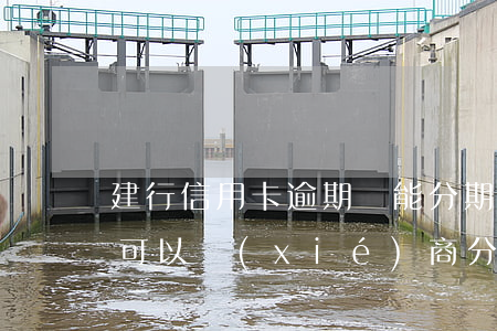 建行信用卡逾期還能分期(建行信用卡逾期后可以協(xié)商分期處理嗎)