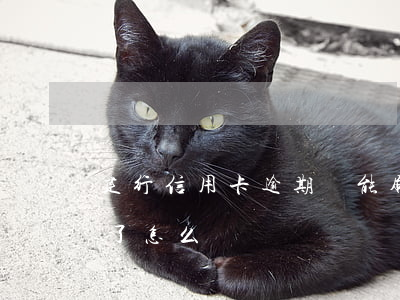 建行信用卡逾期還能刷不(建行的信用卡逾期了怎么辦)