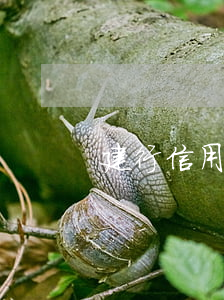 建行信用卡逾期還能辦車貸嗎