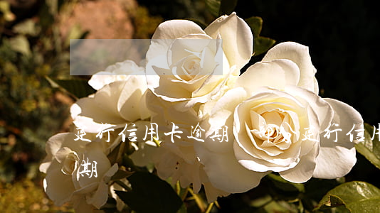建行信用卡逾期還部分(建行 信用卡 逾期寬限期)