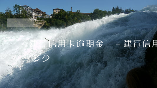建行信用卡逾期金額-建行信用卡逾期金額多少