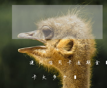 建行信用卡逾期金額怎么看(建行怎么看信用卡欠多少錢)
