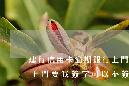 建行信用卡逾期銀行上門了-建設銀行逾期上門要我簽字可以不簽嗎
