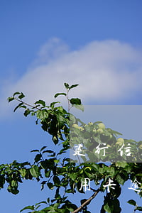 建行信用卡逾期銀行上門了解情況-建行信用卡逾期銀行上門了解情況怎么辦
