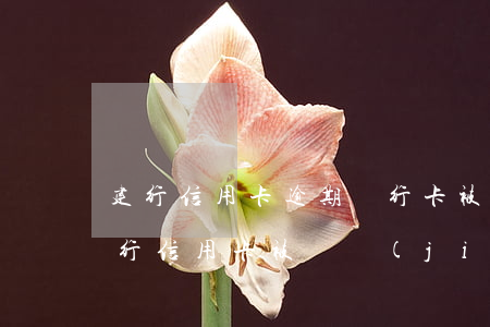 建行信用卡逾期銀行卡被凍結(jié)(建行信用卡被凍結(jié)了怎么辦)