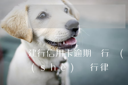 建行信用卡逾期銀行發(fā)律師函(建設(shè)銀行律師發(fā)來(lái)了警告函)