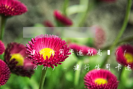 建行信用卡逾期高風(fēng)險(xiǎn)-建行信用卡逾期高風(fēng)險(xiǎn)